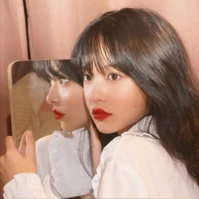 白狼